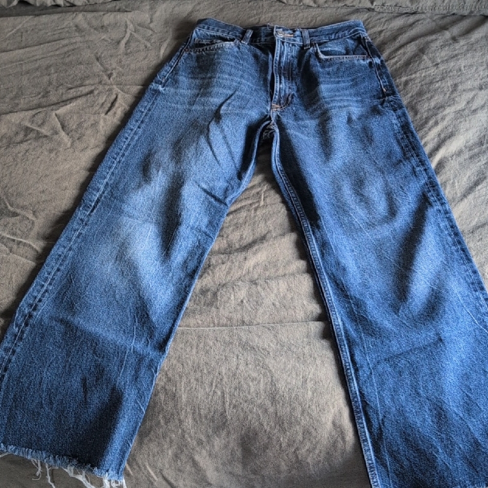 Zara Wide Leg Jean